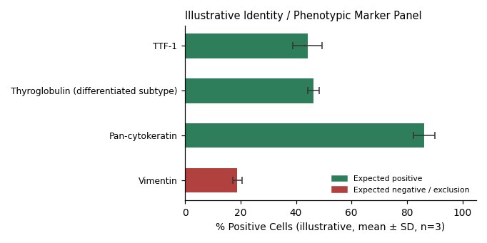 FTC-133 Human Follicular Type Thyroid Carcinoma Cell ( Lymph Node Metastasis ) Cell Line - Image 2
