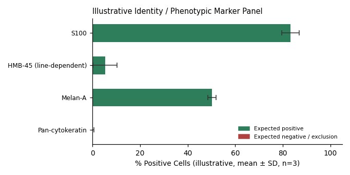Clone M-3 Mouse Melanoma Cell Line - Image 2