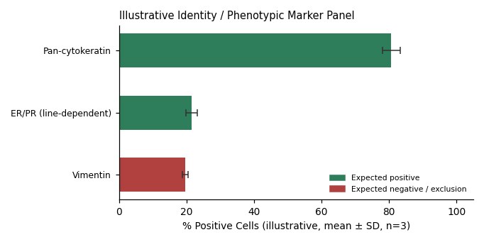 EFE-184 Human Endometrial Carcinoma Cell Line - Image 2