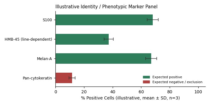 COLO 829 Human Melanoma Cell Line - Image 2