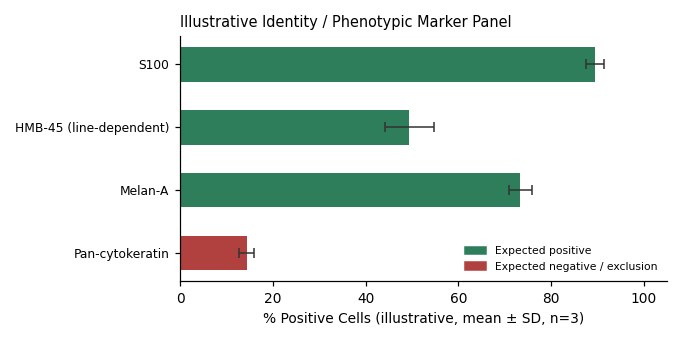 G-361 Human Skin Melanoma Cell Line - Image 2