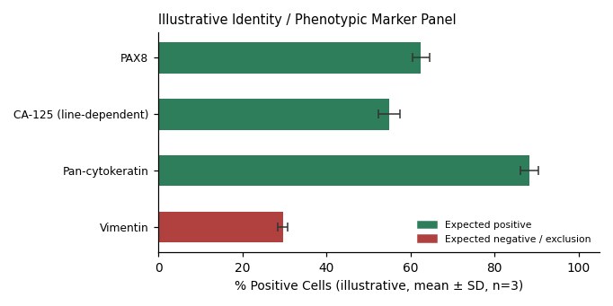 Hey Human Ovarian Carcinoma Cell Line - Image 2
