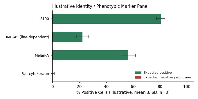HMY-1 Human Melanoma Cell Line - Image 2