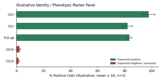 HH Skin T Cell Lymphoma 61 year-old Caucasian Male Peripheral Blood isolated T Lymphocyte Cell Line - Image 2