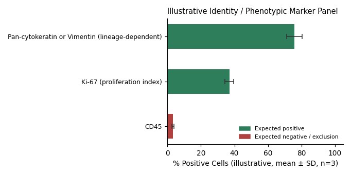 COV434 Solid Primary Tumor Human Ovary Granulosa Tumor Cell Line - Image 2