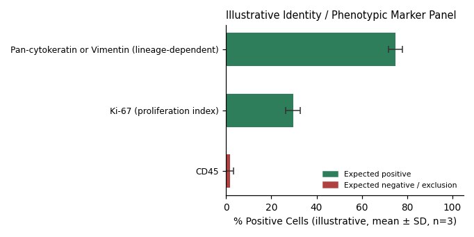 Hs 865.Sk Human Skin Adenocarcinoma Cell Line - Image 2
