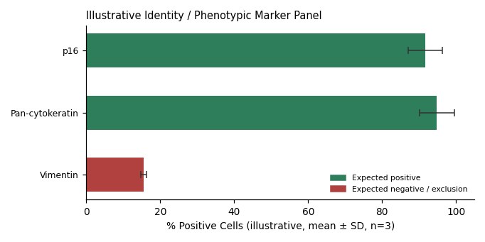 DoTc2-4510 Human Cervical Carcinoma Cell Line - Image 2