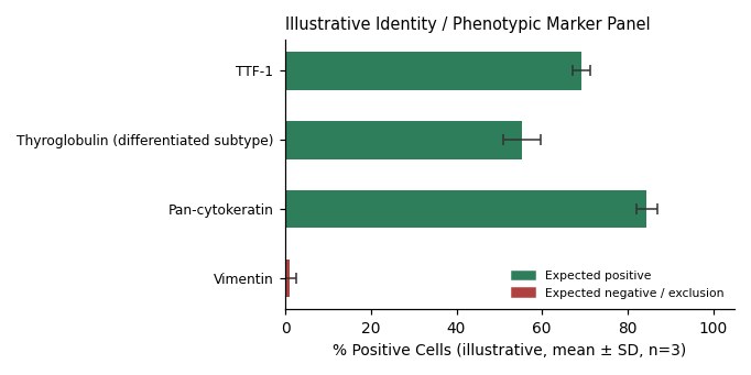 Hth83 Human Thyroid Carcinoma Cell Line - Image 2