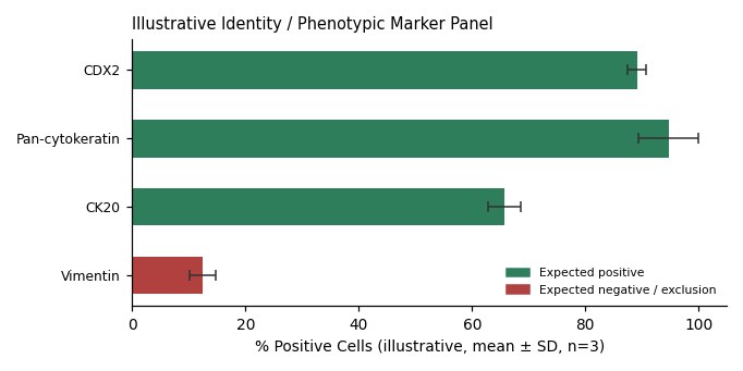 COLO 320HSR Human Colorectal Adenocarcinoma Cell Line - Image 2