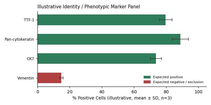 DMS 273 Human Small Cell Lung Carcinoma Cell Line - Image 2