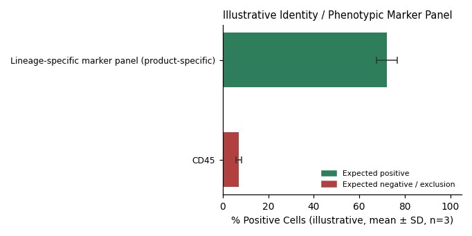 MPC-5 Mouse Kidney Cell Line - Image 2