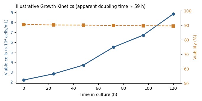MPC-5 Mouse Kidney Cell Line - Image 3