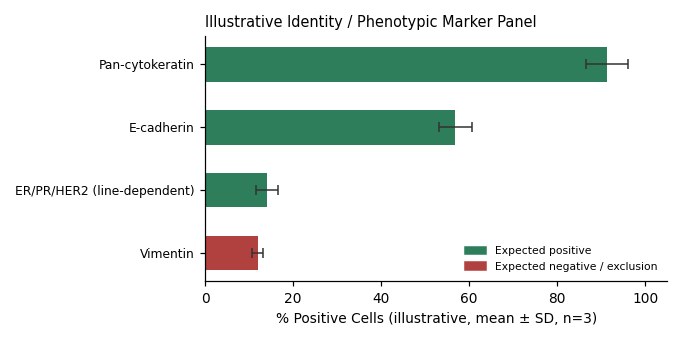 HMC-1-8 Human Breast Carcinoma Cell Line - Image 2
