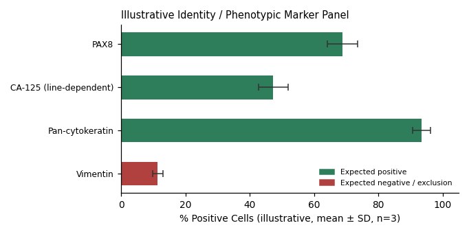 COV504 Human Ovarian Carcinoma Cell Line - Image 2