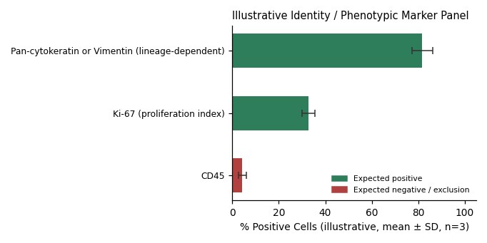 COR-L95 Human Lung Small Cell Carcinoma Cell Line - Image 2