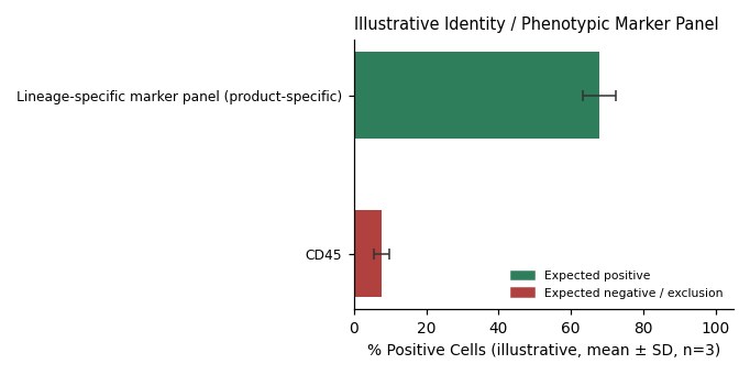 MO3.13 Human -like Neural Glial ( Oligodendrocyte Glial Cell ) Hybrid Cell Line - Image 2
