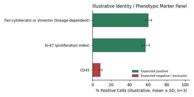 ECC10 Human Gastric Minor Cell Carcinoma Cell Line - Image 2