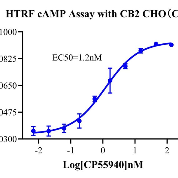 CHO-K1 Human CB2 Cell Line