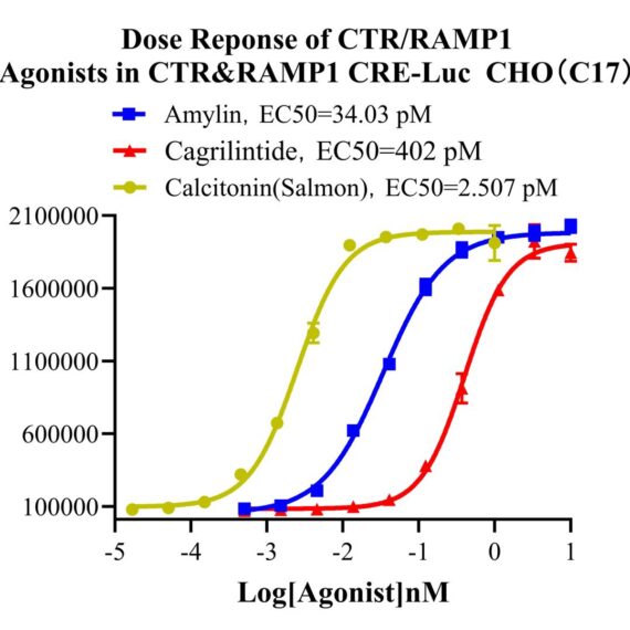 CHO-K1 Human CTR & RAMP1 CRE-Luc Cell Line