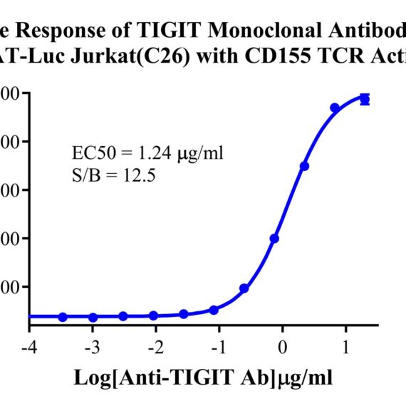 CHO-K1 Human CD155/TCR Activator Cell