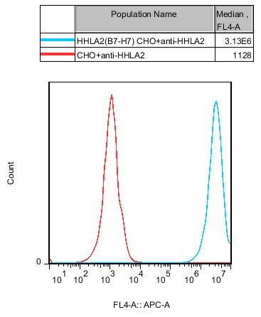 CHO-K1 Human HHLA2 (B7H7) Cell