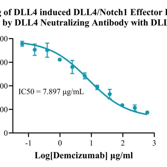 HEK293 Human DLL4/Notch1 Effector Reporter Cell