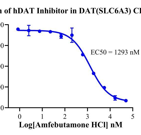 CHO-K1 Human DAT (SLC6A3) Cell