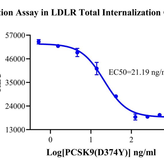 CHO-K1 Human LDLR Total Internalization Cell